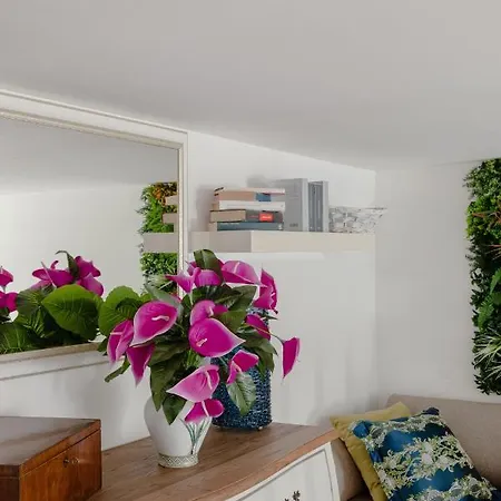 Daire My In The Center *