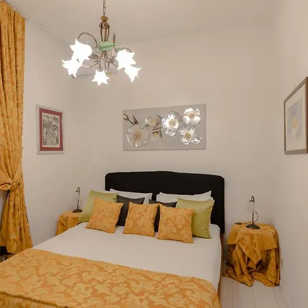 Daire My In The Center